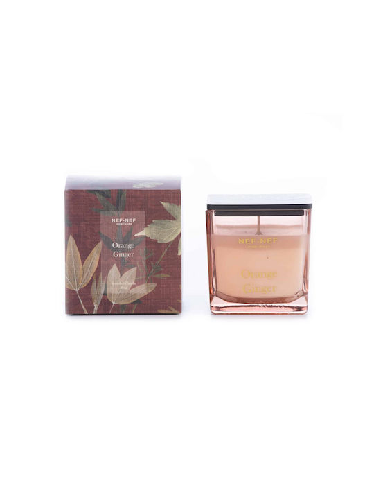 Aromatische Kerze Orange Ingwer 200g Bordeaux Nef-nef Homeware