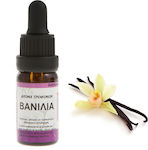 Vanilla Concentrated Food Flavoring 10ml