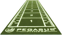 Pegasus Podea Echipament De Gimnastică Sala De Sport 200x40cm 1 Bucată Verde