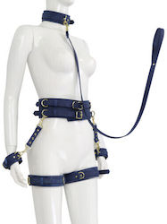 Naughty Toys BDSM Kit in Blue Color 6pcs