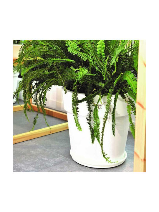 Homestyle Flower Pot in White Color 10487