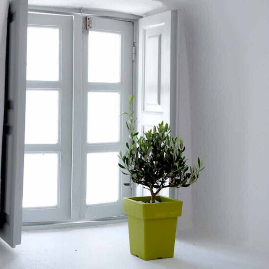 Homestyle Pot Plastic Green