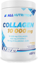 AllNutrition Колаген 10000мг 480гр Ягода
