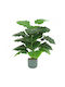 Künstliche Pflanze im Topf Alocasia 60cm