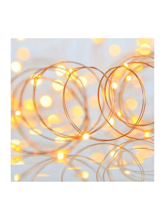 Series 100 Mini LED 4.5V Transformer Steady Bronze Copper Wire Warm White LED Every 10cm Extension Supply 5m IR44