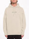 Stone Sweatshirt With Hood Beige