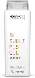Framesi Morphosis Sublimis Oil Framesi Morphosis Sublimis Oil