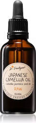 Dr Feelgood Raw Camellia Oil 100 Ml