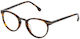 Lozza Plastic Eyeglass Frame Brown Tortoise VL4098 09AJ