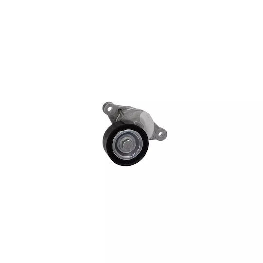 Belt Tensioner Peugeot Partner Body Dayco Apv3190