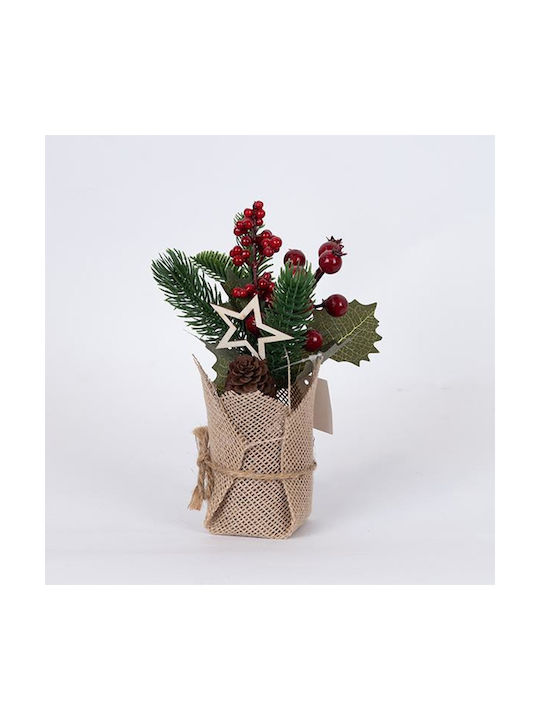 Display Box Γλαστρακι Αστερακι Κοκκινα Berries 12tmx 22cm