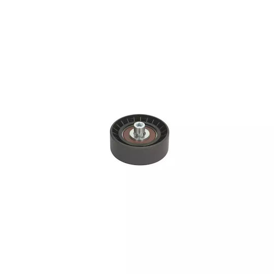 Fiat Marea 185 Guide Roller Dayco Apv2157