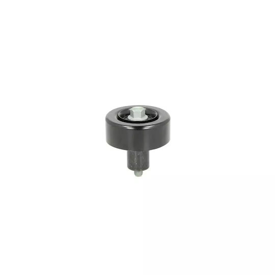 Hyundai Santa Fé Ii Cm Guide Roller Dayco Apv3055