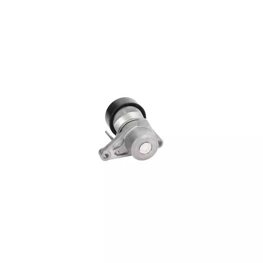 Belt Tensioner Citroen C2 Jm Dayco Apv2539