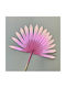 Pink Dried Heliconia Decorative Plant