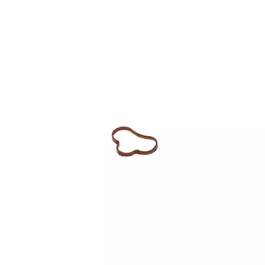 Set Garnituri Galerie Admisie Peugeot 406 Break 8e/f 2.0 16v 2000-2004 Corteco 026466h