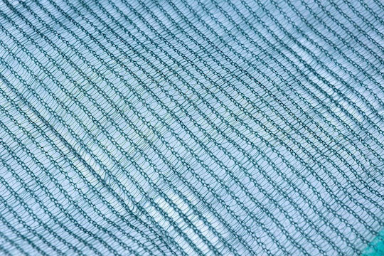 Hafaco Olive Net 6x10m Density 90gr/m²