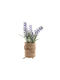 Jardi Τεχνητο Φυτο Λεβαντα Σε Γλαστρακι 5x12cm - Λιλα