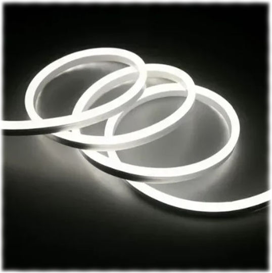 Andowl Αδιάβροχη Ταινία LED 12V Ψυχρό Λευκό Φως 5m
