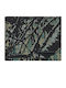 Freshness Men's Wallet Classic