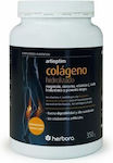 Herbora Artioptim Colageno 350gr