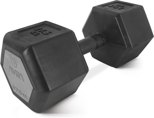 AMILA Βαράκι Εξάγωνο Λαστιχένιο 1 x 27.5kg