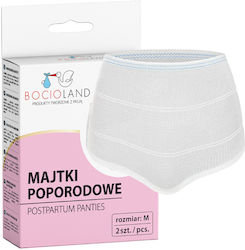 Bocioland Absorbante 2 Bucăți Bocioland Absorbante 2 Bucăți