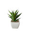 Artificial Cactus H15cm White Pot Ø10cm Design 3