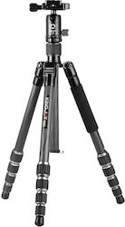 Kingjoy Tripod - Mini 6152911337332