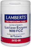 Lamberts 350mg 60 tabs