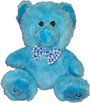 Blue Plush Teddy Bear 25cm