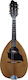 Acoustic Mandolin