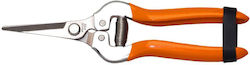 Pruning Shears Grape