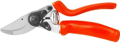 Pruning Shears