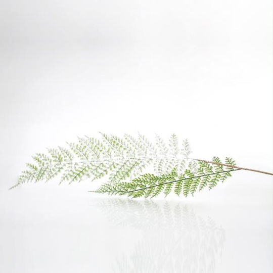 Ramură Decorativă Artificială Fern Green 92cm 6buc Eurolamp