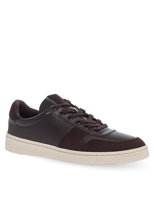 Toms Sneakers Brown