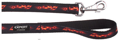 Tatrapet Dog Leash/Lead Strap Pet Expert