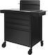 Ucenic Cosmetica Tattoo Pro Ink 701 Black