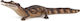 Figurină Papo Crocodil Caiman 50311