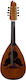 Acoustic Mandolin Curupoto
