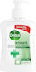 Dettol Flüssige Seife mit Aloe Vera & Honig 250ml