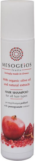 Shampoo Hotel Amenities 50ml in Package 140Stück