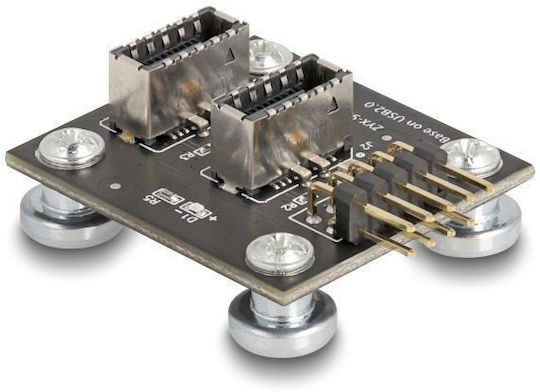 Delock Αντάπτορας Usb 2.0 Pin 2x Usb Type-e Key A 67176 Usb Pin Καλώδιο