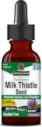 Nature's Answer Milk Thistle Seed Extract 30ml Nature's Answer Milk Thistle Seed Extract 30ml