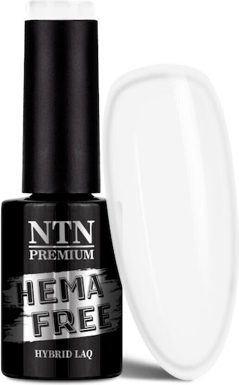 NTN Premium Ημιμόνιμο Βερνίκι Νυχιών 306 5gr