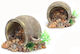 Colorful Aquarium Jug Decoration 12x11.5x8.5cm Nobleza 805161 Nobleza