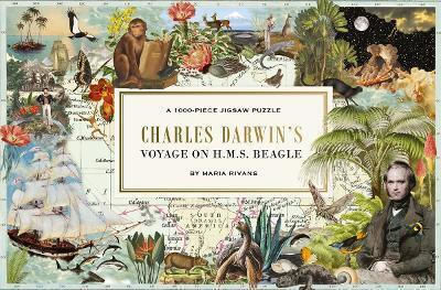Charles Darwin's Voyage On H.m.s Beagle A Charles Darwin's Voyage On H.m.s Beagle A