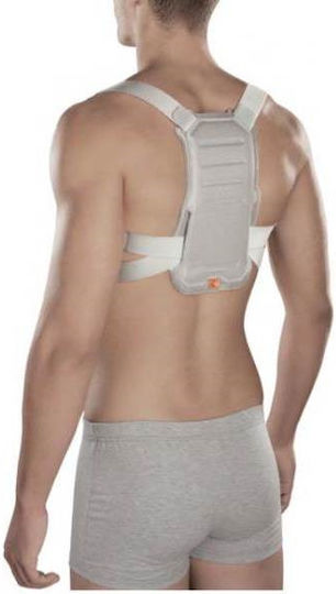 Ortholand Dorsolite Back Splint