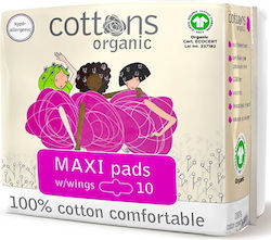 Cottons Organic Absorbante Maxi 10 Bucăți