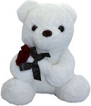 Plush Bear 38 cm